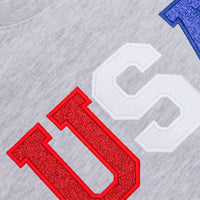 PREORDER: Embroidered Glitter USA Sweatshirt
