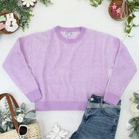 IN STOCK Josie Cozy Crew Sweater - Lavender FINAL SALE