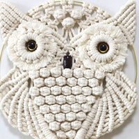 Hand-Woven Owl Macrame Wall Hanging