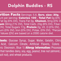 Dolphin Buddies