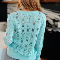 Hole In One Sheer Pointelle Knit Sweater