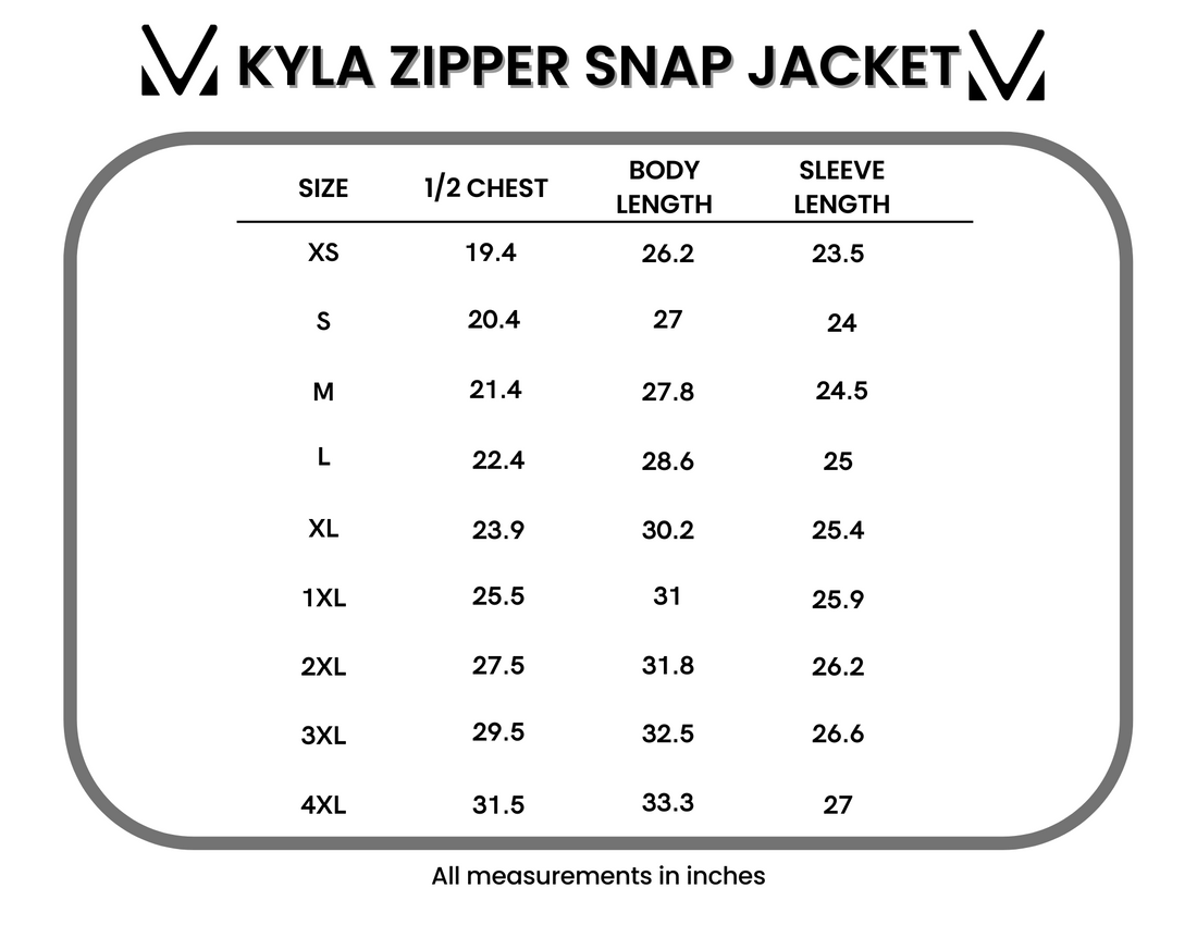 IN STOCK Kyla Zipper Snap Jacket - Black FINAL SALE