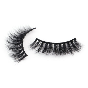 Day Lash EveryLash Magnetic Lashes