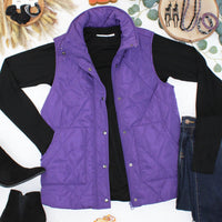 IN STOCK Remy Zip Up Vest - Purple