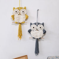 Hand-Woven Tassel Owl Macrame Wall Hanging