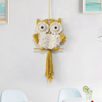 Hand-Woven Tassel Owl Macrame Wall Hanging