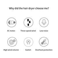 Professional Hair Dryer