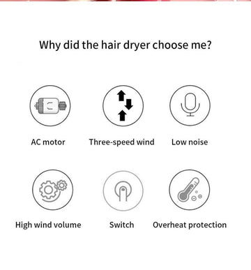 Professional Hair Dryer