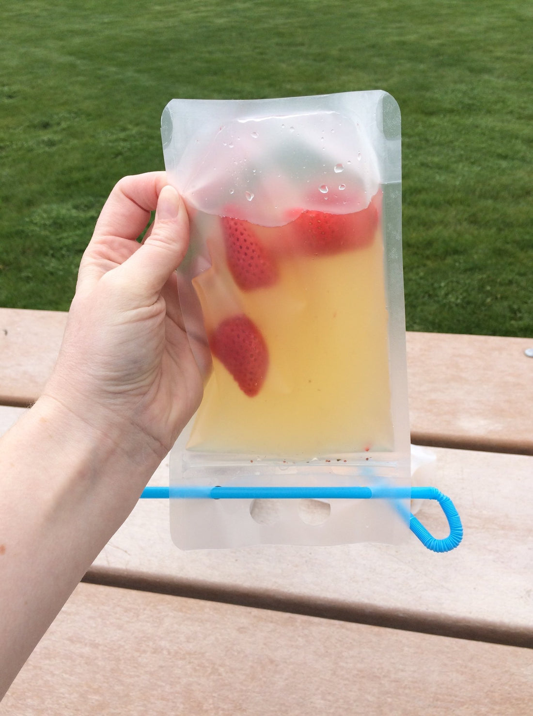 Reusable Pouches- drink OR snack