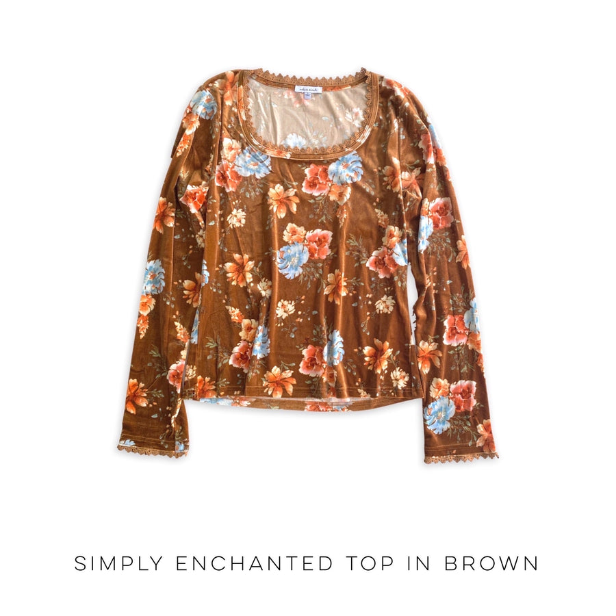 Simply Enchanted Top in Brown