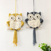 Hand-Woven Tassel Owl Macrame Wall Hanging